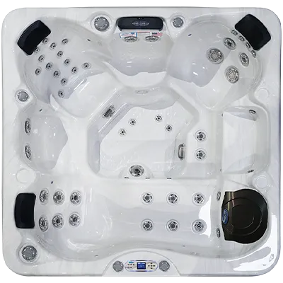 Avalon EC-849L hot tubs for sale in Milldale